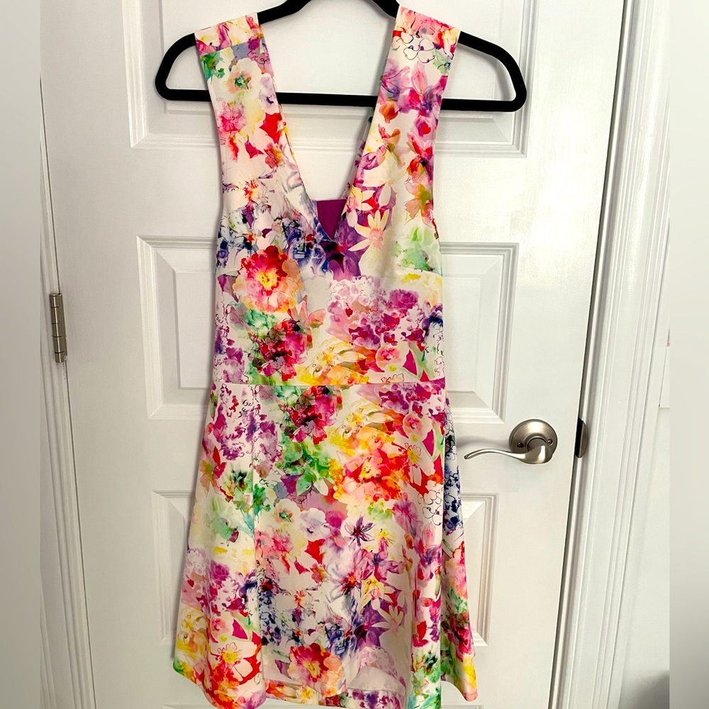 Felicity and Coco watercolor dress
